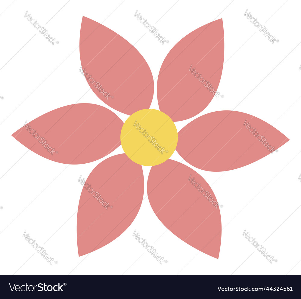 Pink flower with six petals on a white