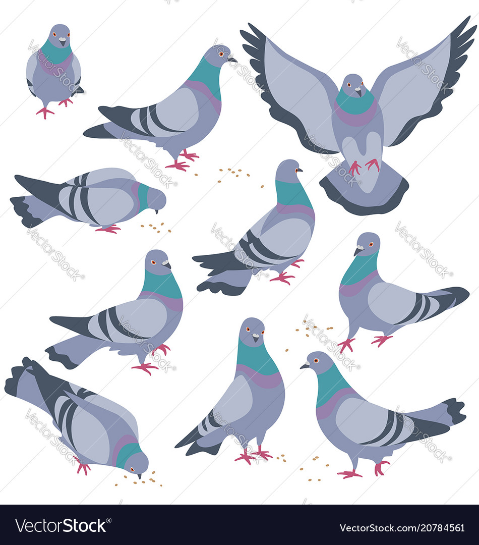 Set of gray doves in motion vector image Set of gray doves in motion