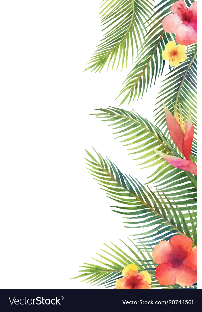 Watercolor banner tropical leaves Royalty Free Vector Image