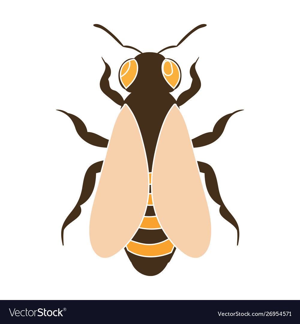 Bee icon in colour style isolated on white