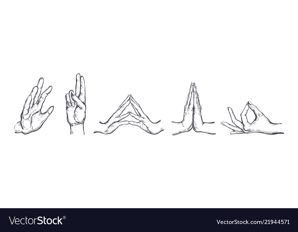 Different gestures of human hands isolated Vector Image