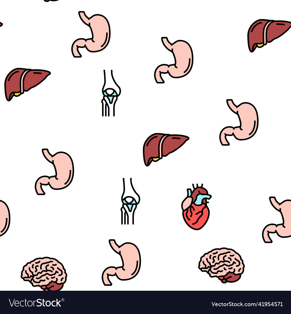 Human Internal Organ Anatomy Seamless Royalty Free Vector