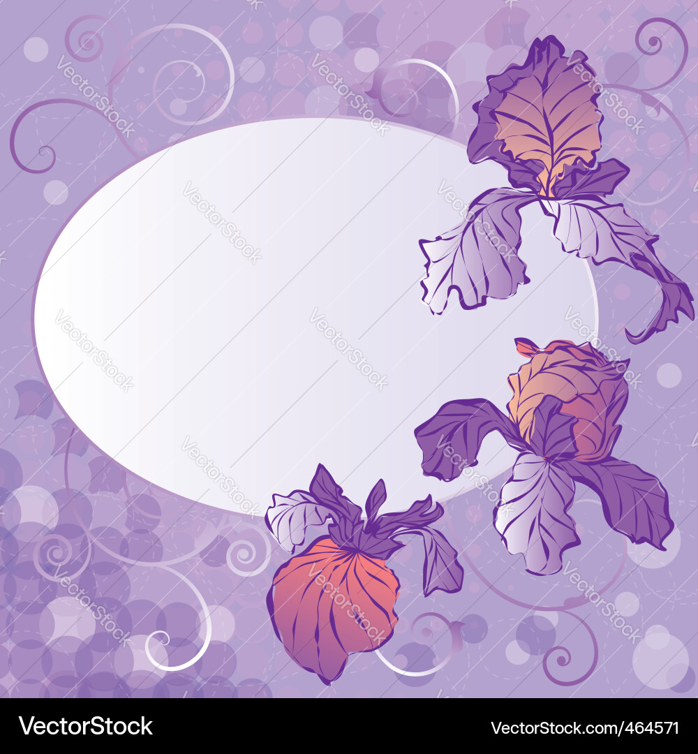 Irises Royalty Free Vector Image - VectorStock