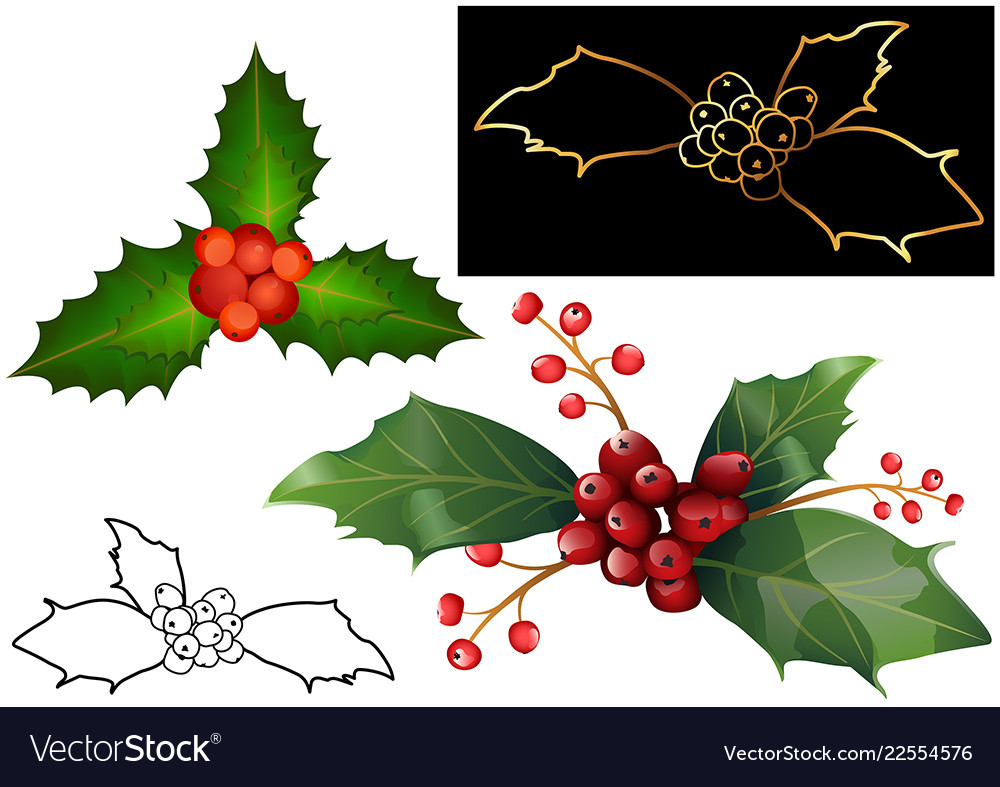 Festive Holly Leaf and Berries