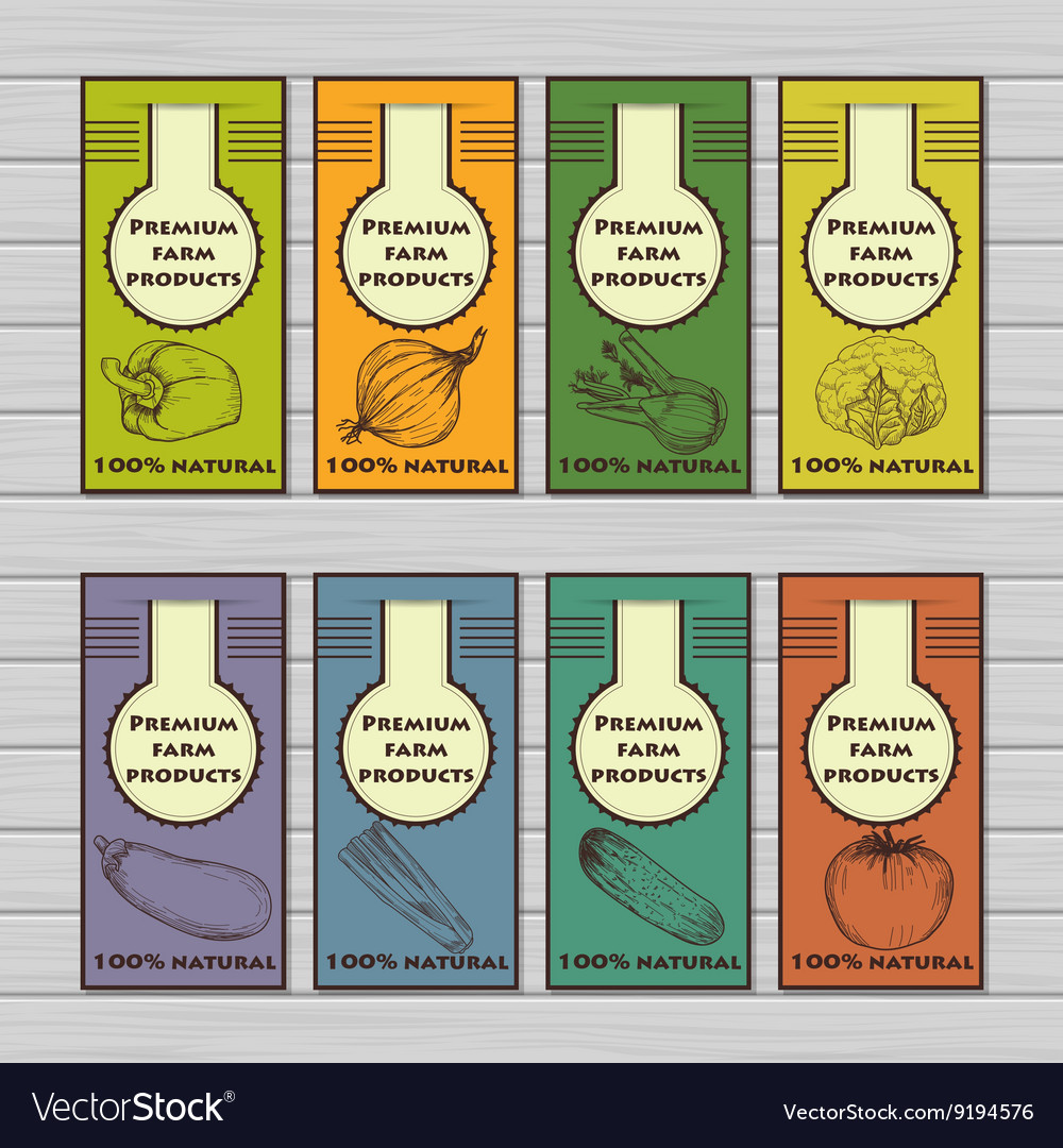Organic Food Concept Brochure And Flyer Template Vector Image