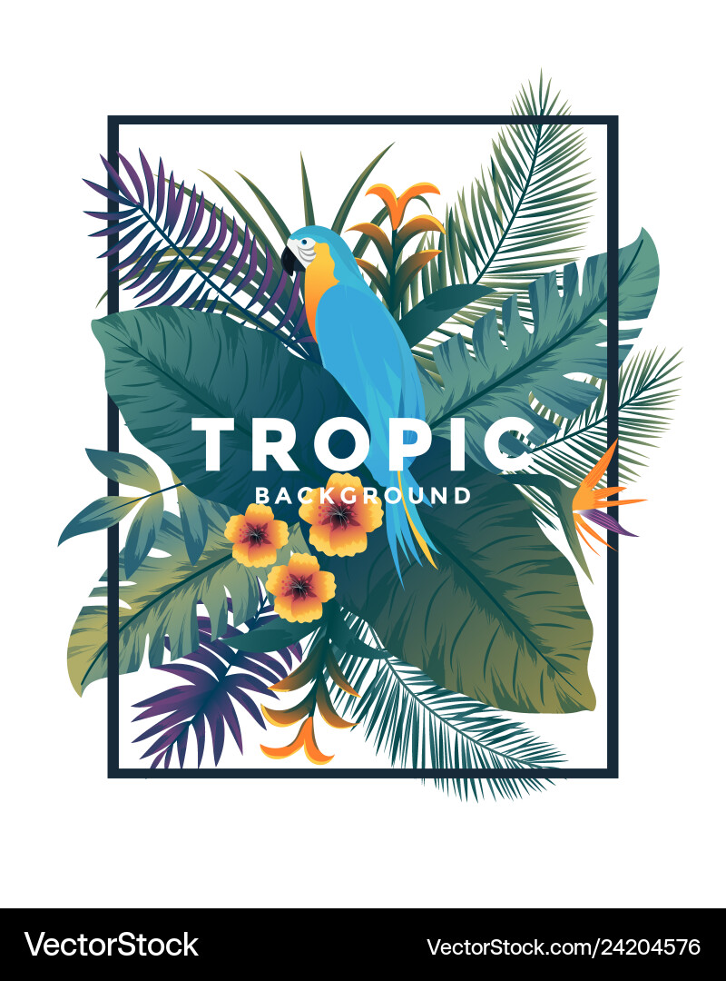 Tropical background with frame 2 Royalty Free Vector Image