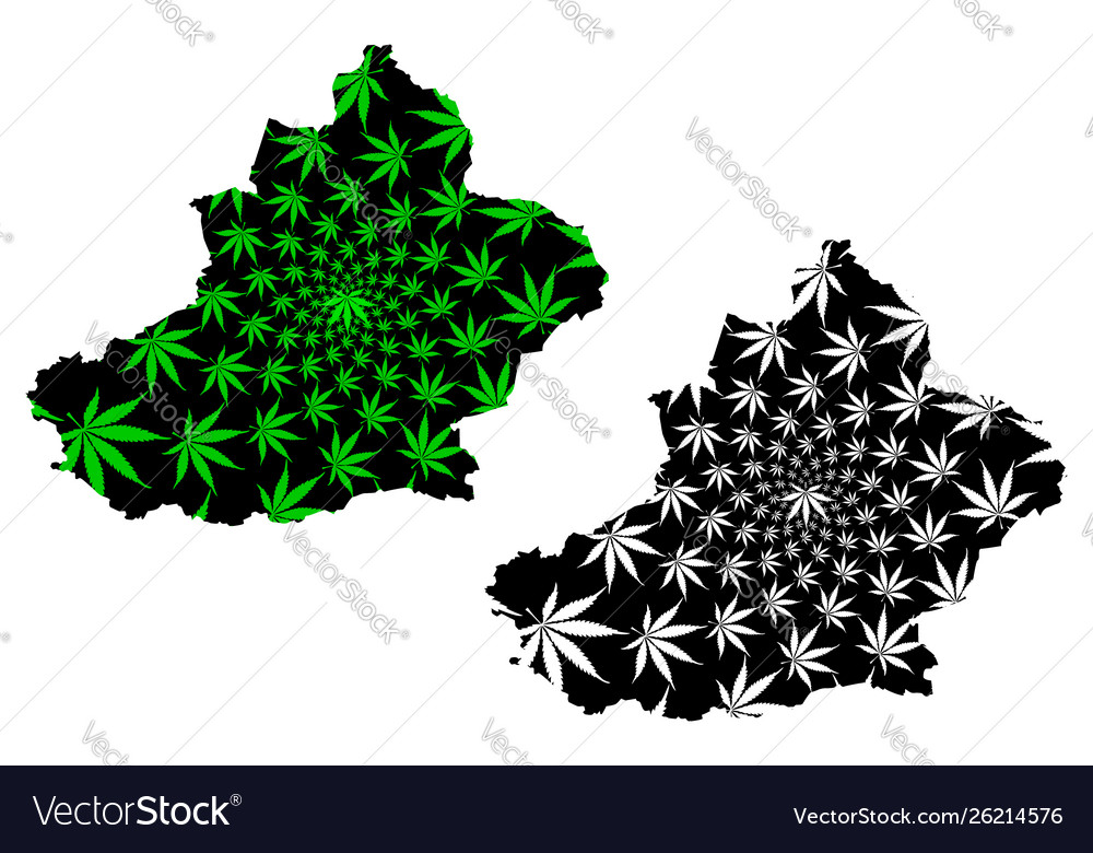 Xinjiang Uyghur Autonomous Region Administrative Vector Image