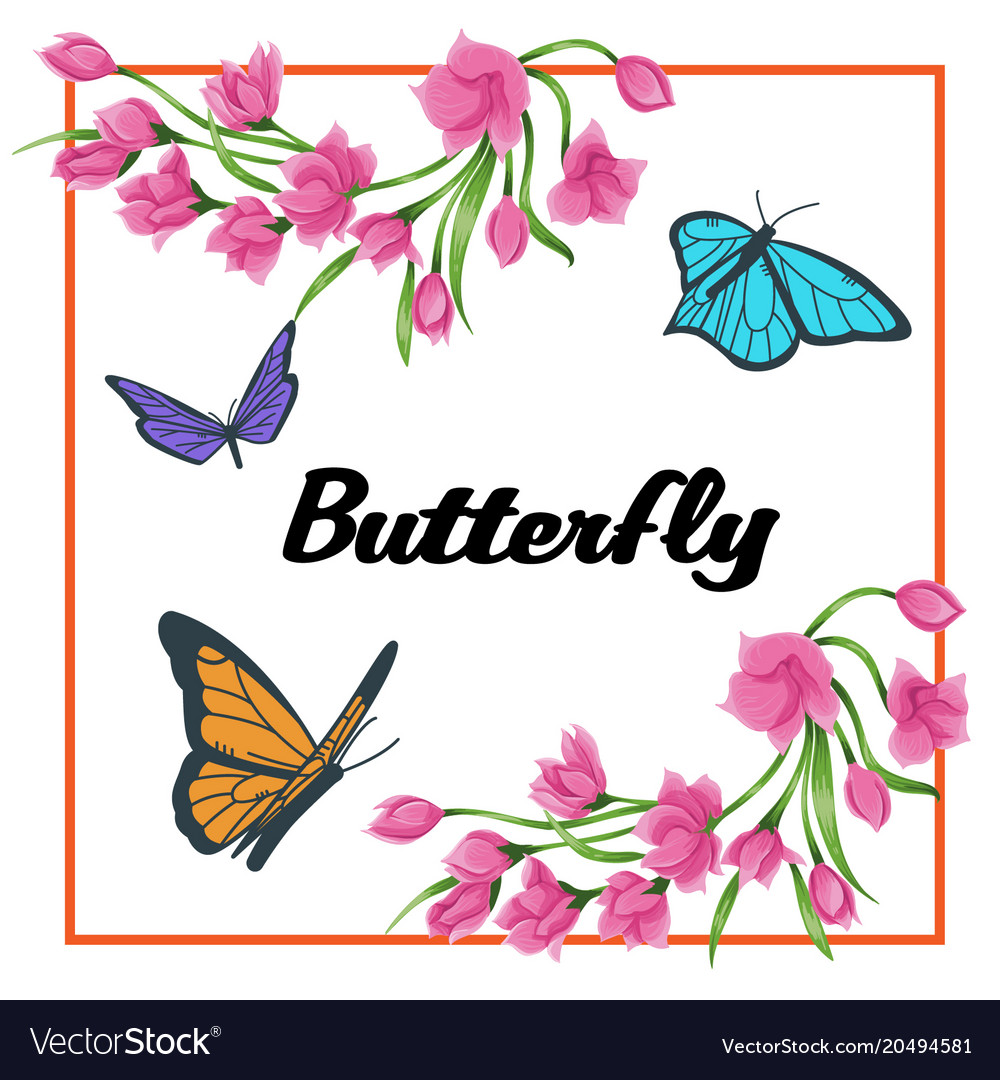 Butterfly flower square frame background im Vector Image