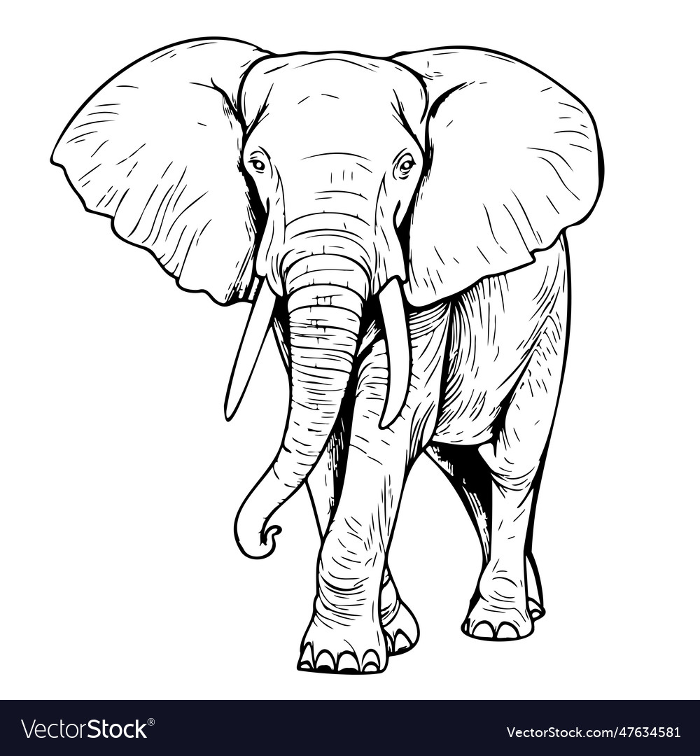 Elephant walking sketch hand drawn in doodle style