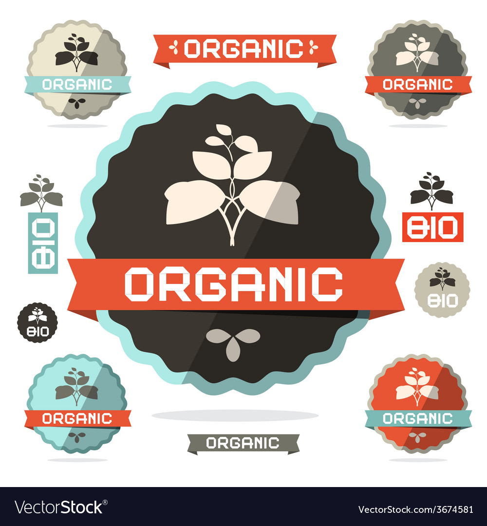 Organic flat design retro labels on white