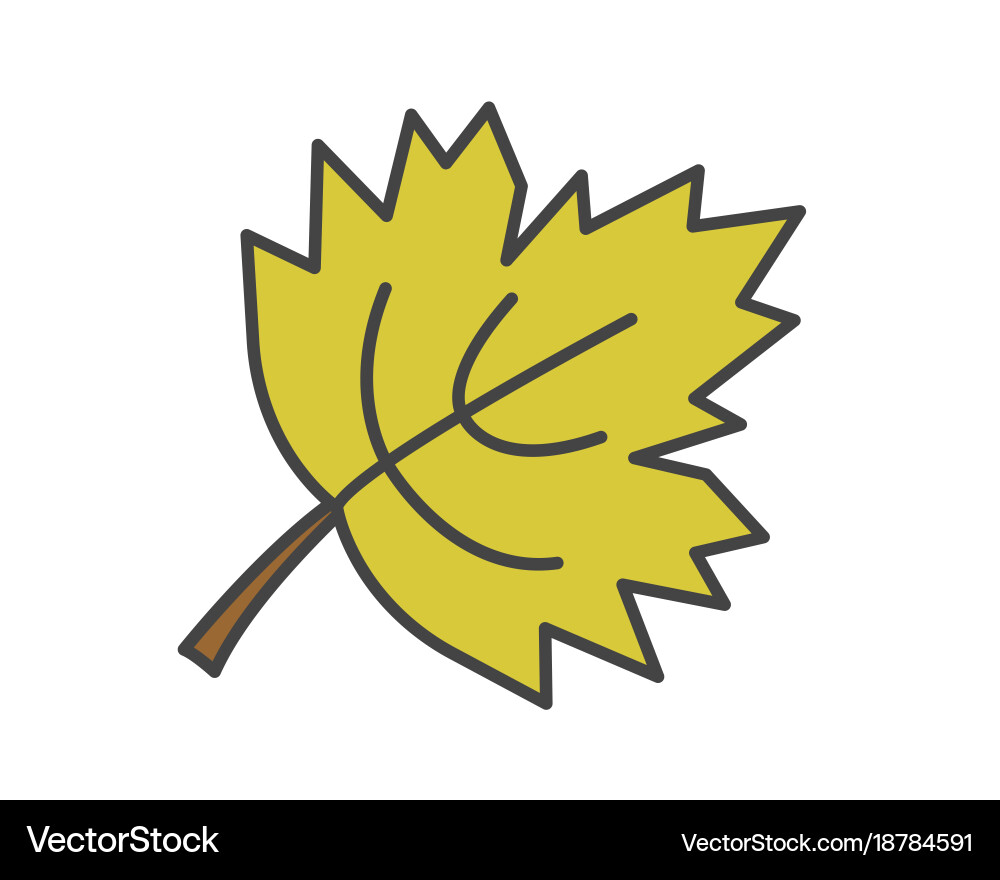 Maple green leaf flat icon Royalty Free Vector Image