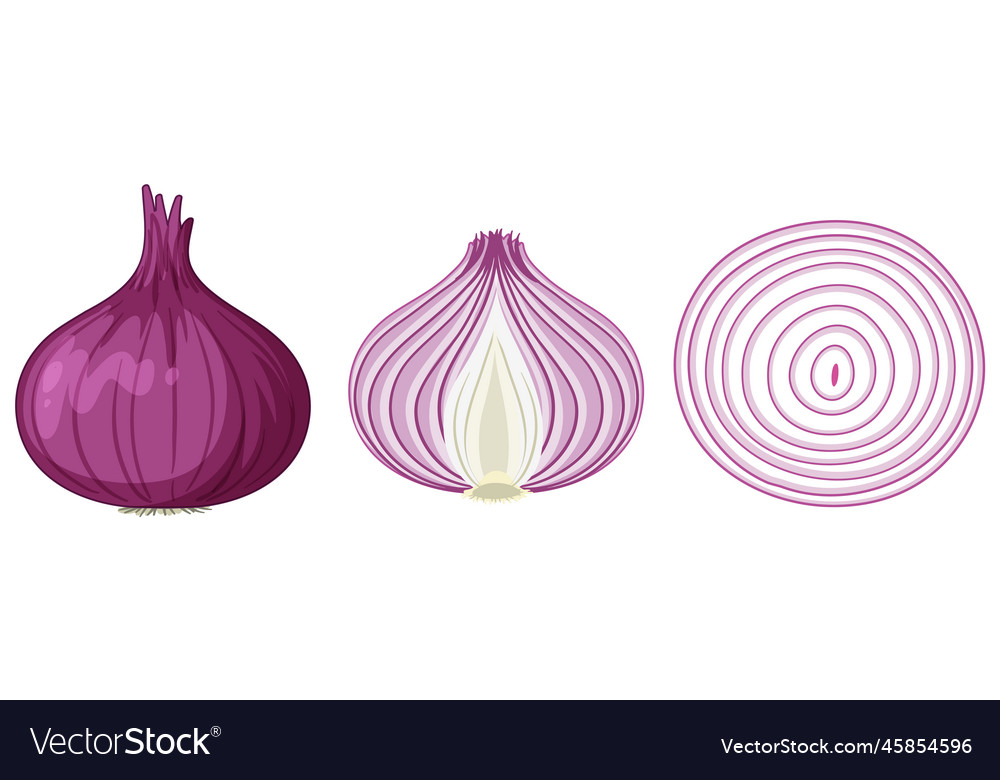 Set red shallot isolated Royalty Free Vector Image