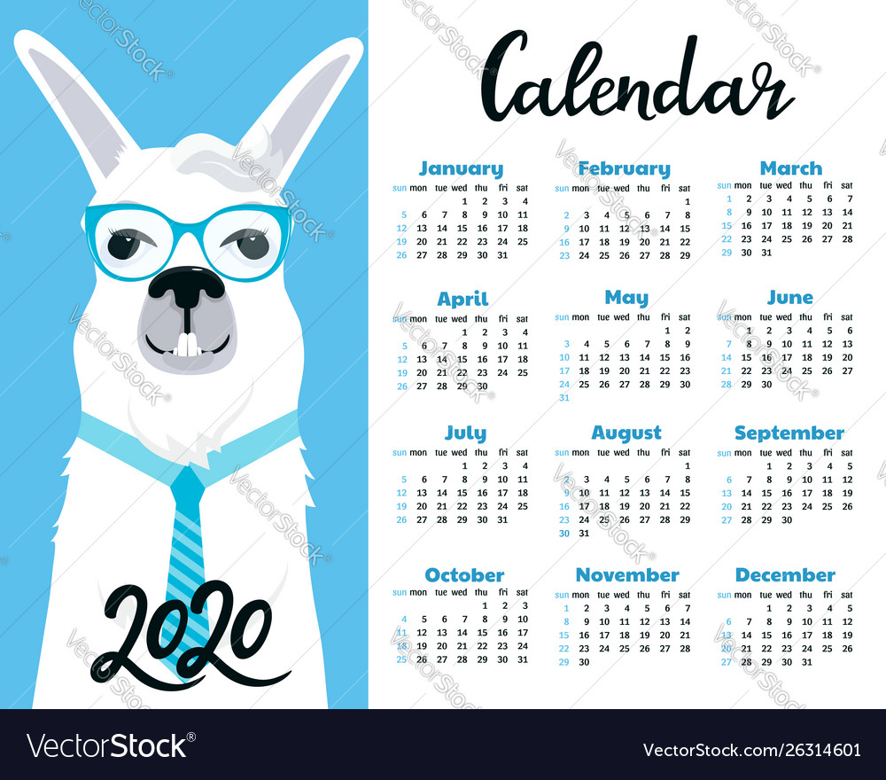 Calendar for 2020 week start on sunday business Vector Image