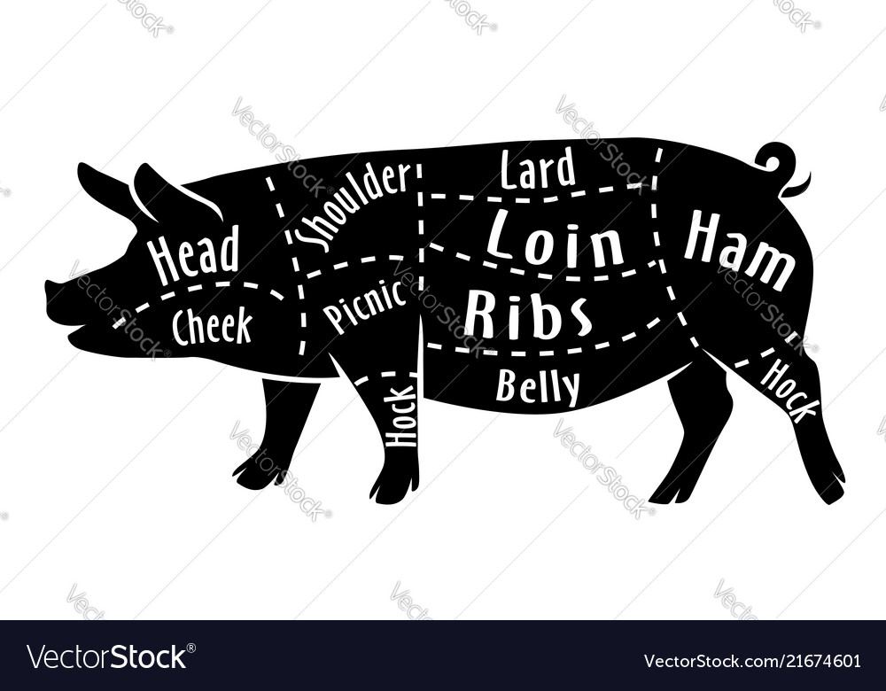 Cut of pork diagram for butcher pork Royalty Free Vector