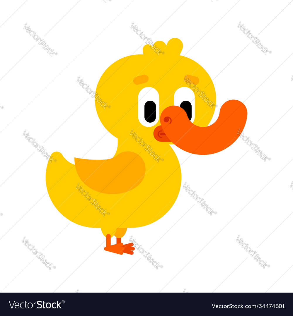 Duckling cartoon isolated duck water bird Vector Image