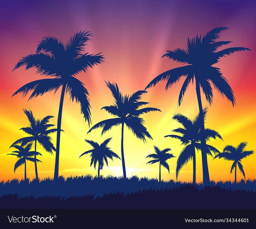 Tropical trees silhouettes on sunset vector image Tropical trees silhouettes on sunset
