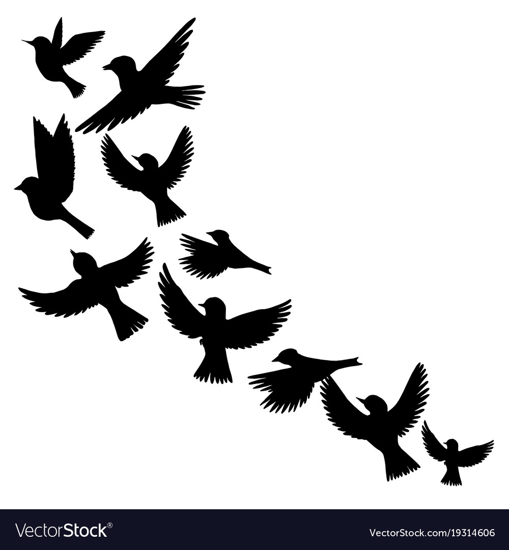 three flying birds silhouette