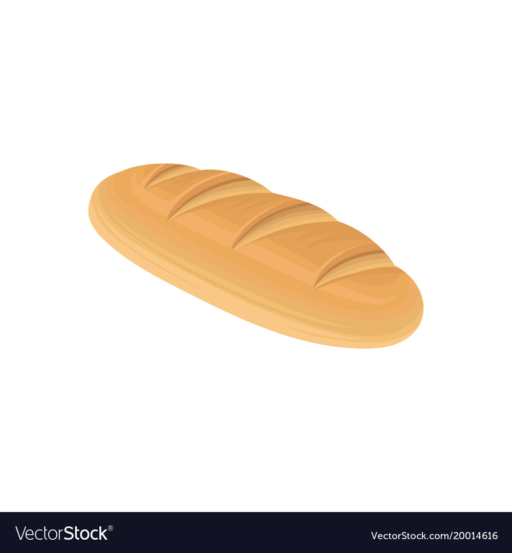 Flat detailed fresh long loaf of white wheat bread