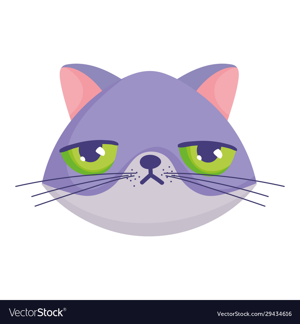 Grumpy cat face cartoon character pets Royalty Free Vector