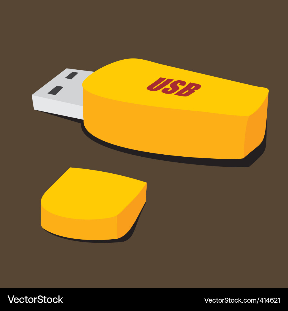 Flash drive Royalty Free Vector Image - VectorStock