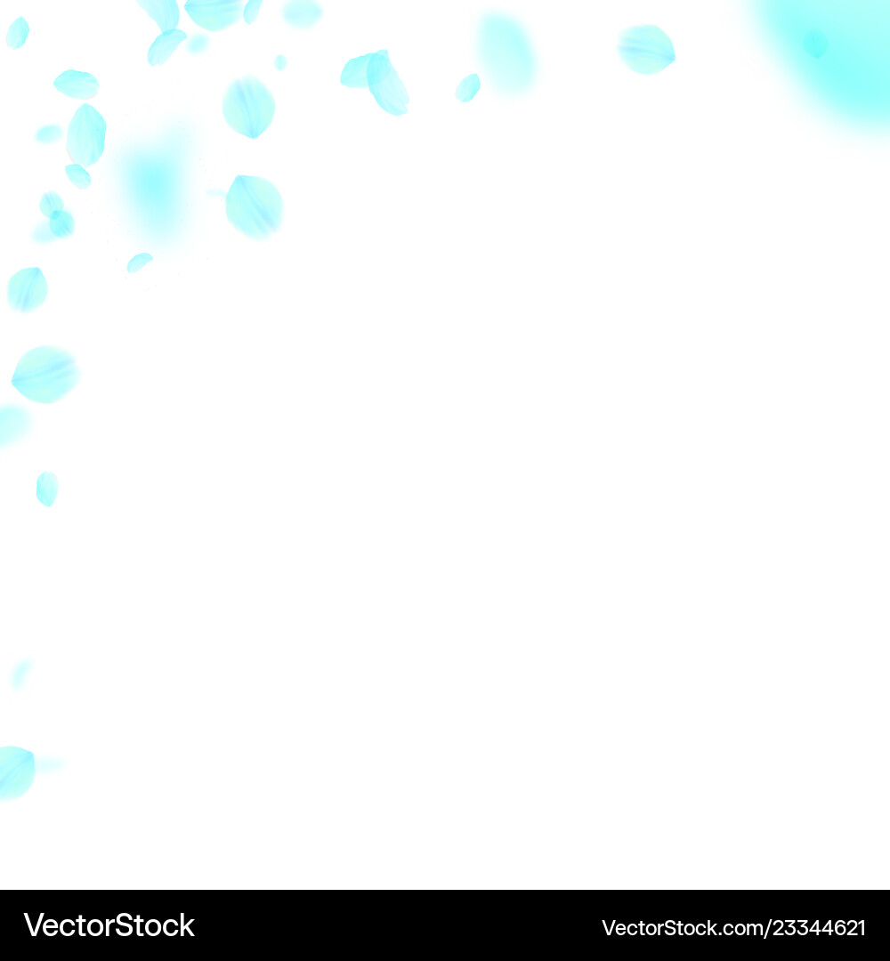 Turquoise flower petals falling down overwhelming Vector Image