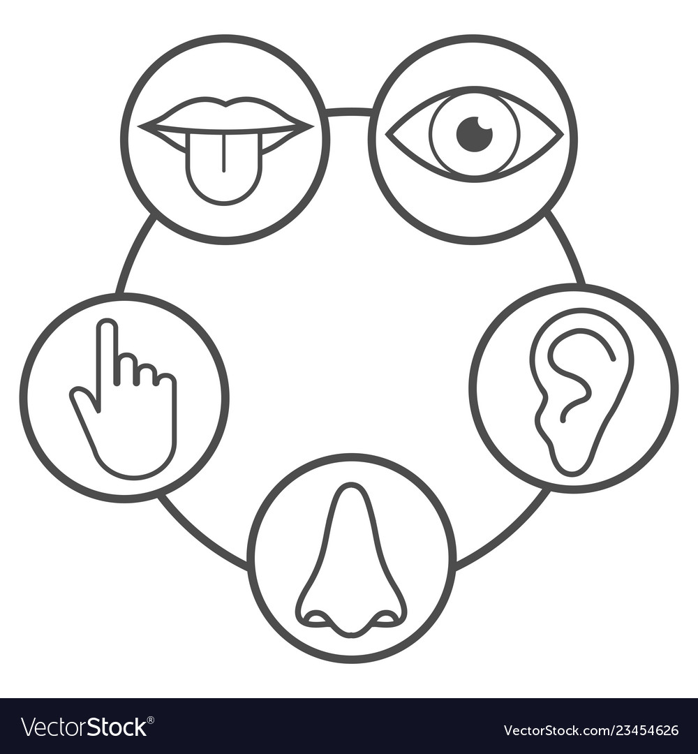 Human senses icon flat Royalty Free Vector Image