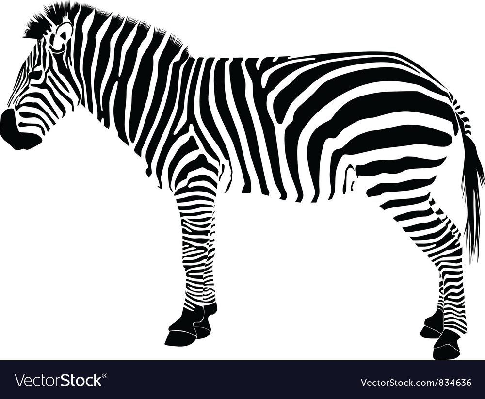 Zebra SVG Free for Cricut – Free SVG for Cricut | Crafters File | SVG ...