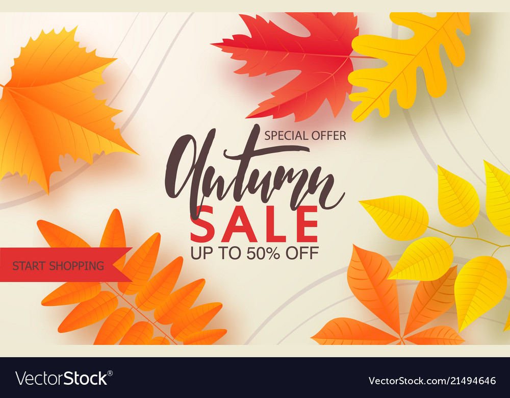 Autumn Sale Background Layout Decorate With Leaves