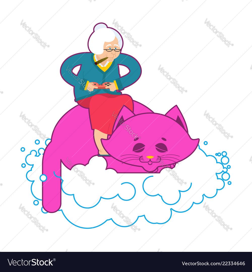 Grandmother Play Video Games On Back Cat Sleeps Vector Image