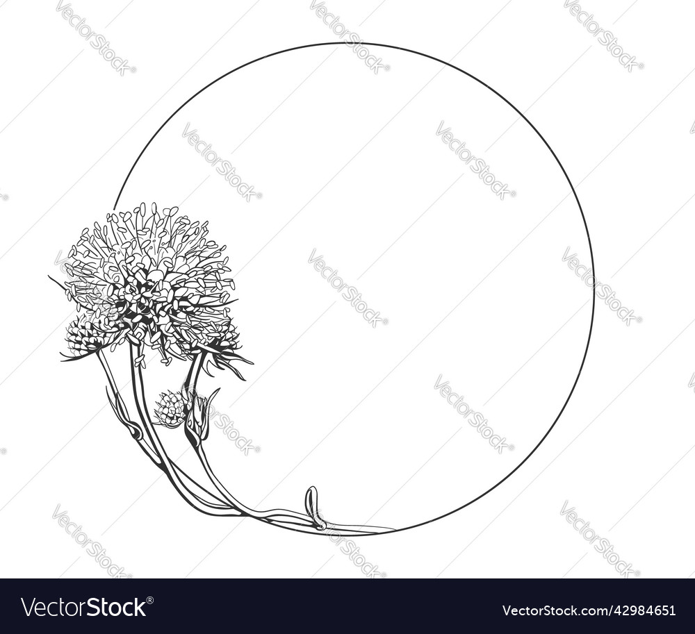 Floral round frame hand drawing design flower