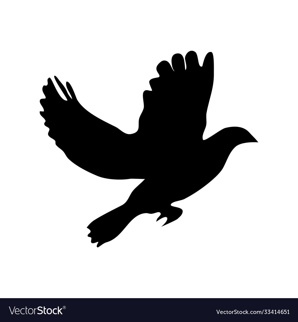 Flying bird silhouette on a white background