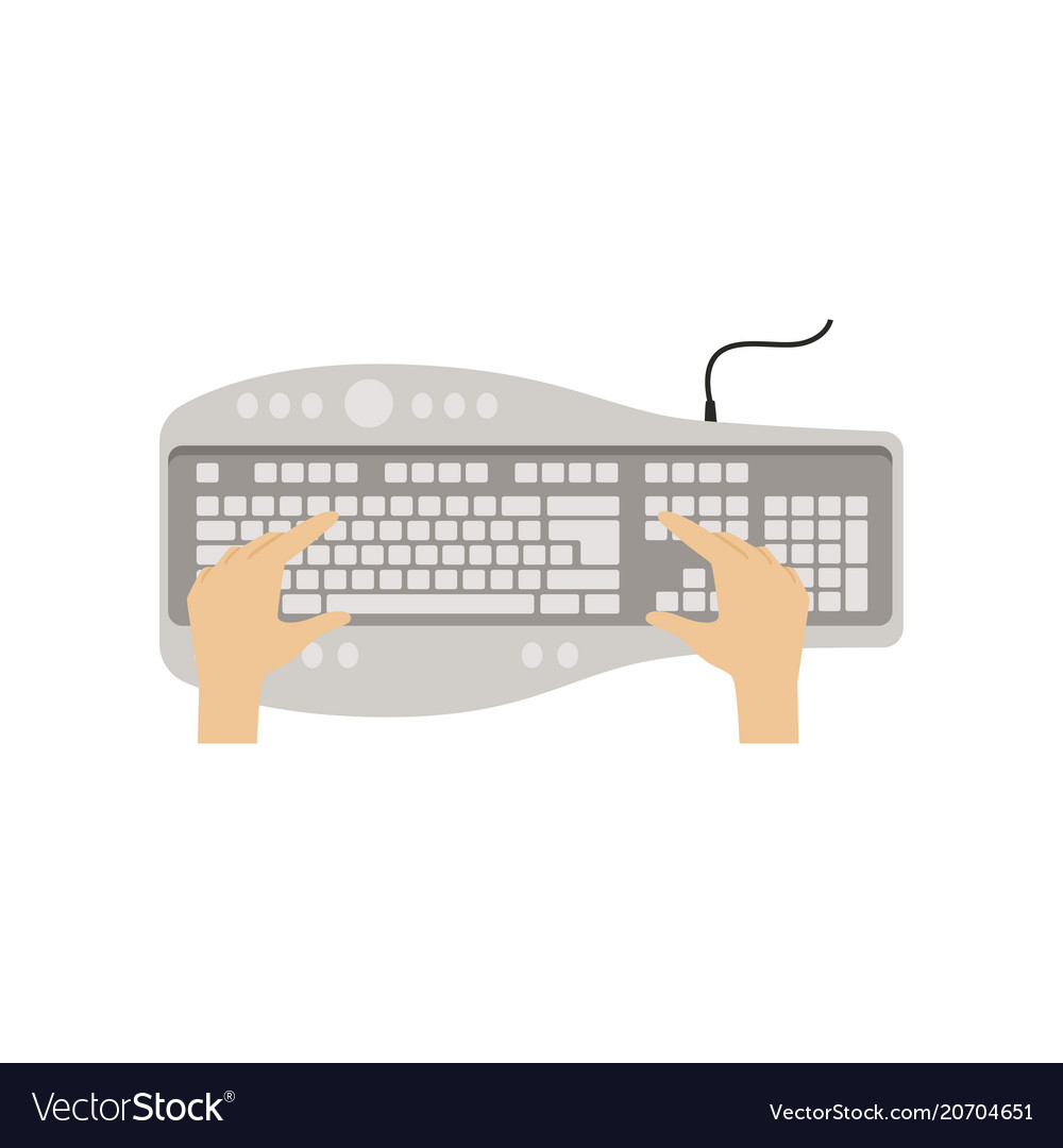 Hands on computer keyboard people working vector image Hands on computer keyboard people working