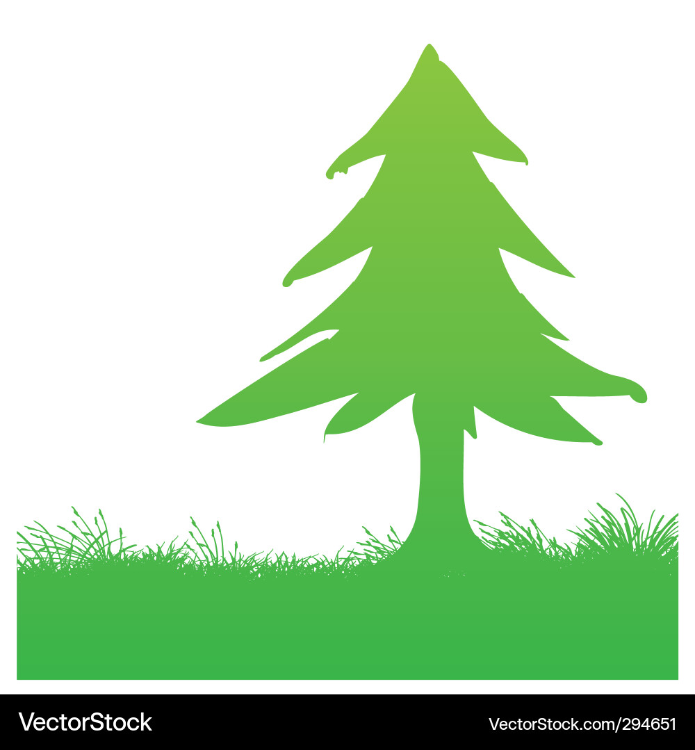 Pine tree Royalty Free Vector Image - VectorStock