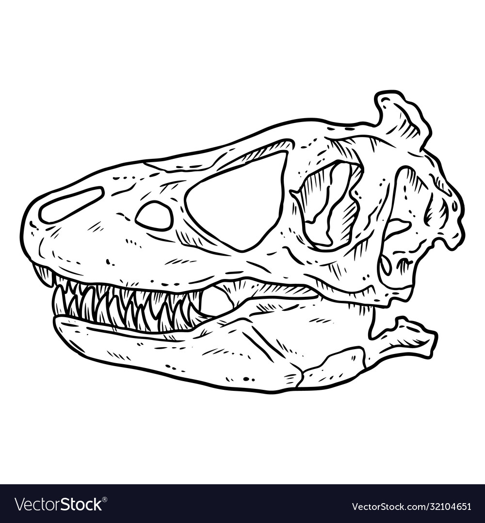 t rex bones drawing - Google Search  Dinosaur drawing, Skull drawing,  Skeleton drawings