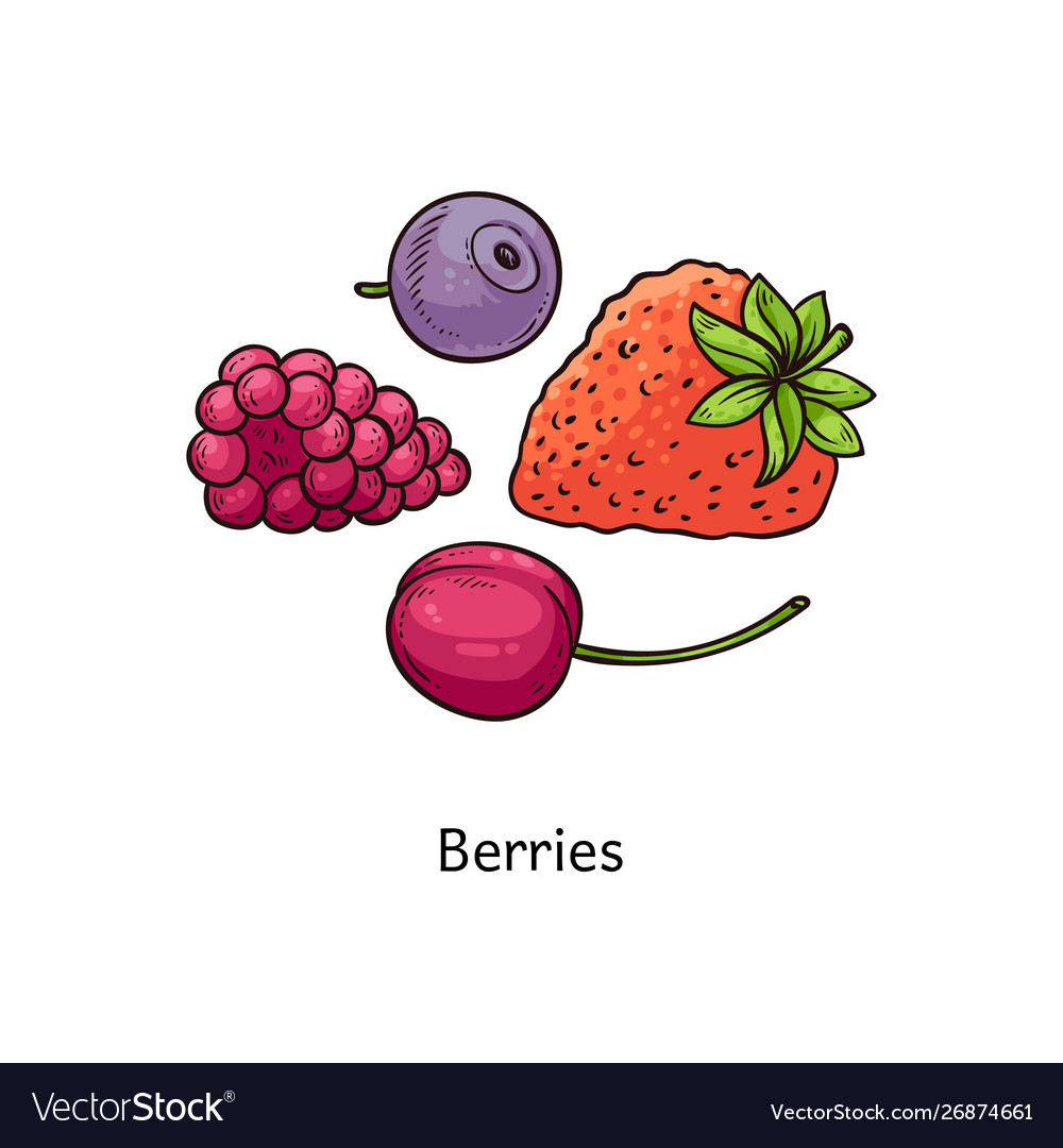 Colorful berry drawing set - hand drawn strawberry