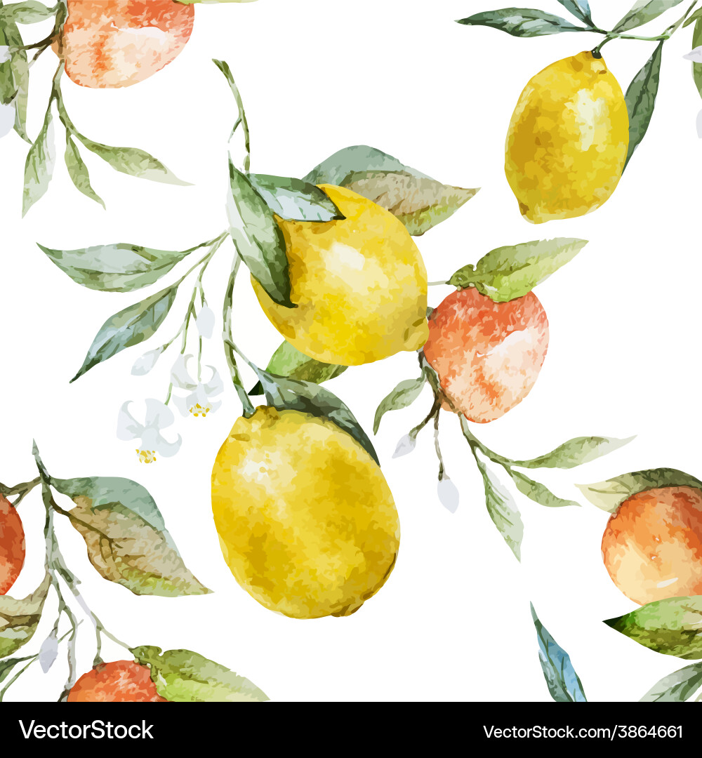 Lemons and oranges Royalty Free Vector Image - VectorStock