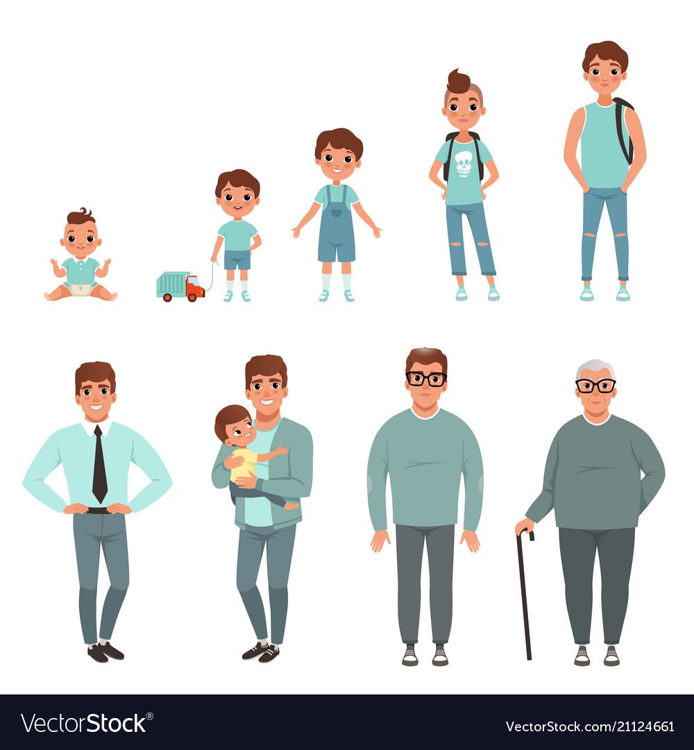 Life cycles of man stages growing up from baby Vector Image