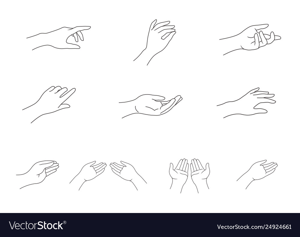 Line design elements hand logo for packaging Vector Image