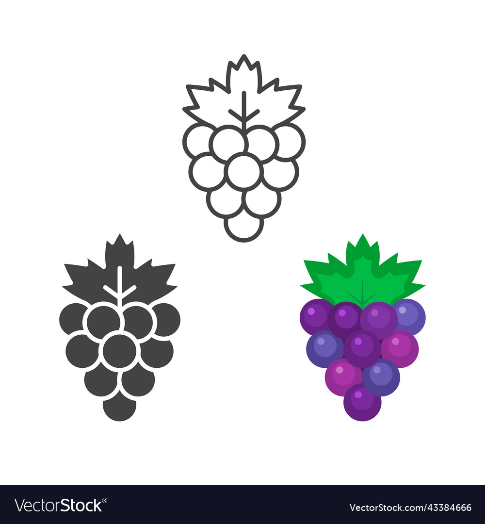 Grape icon set grapes symbol isolated on white Vector Image