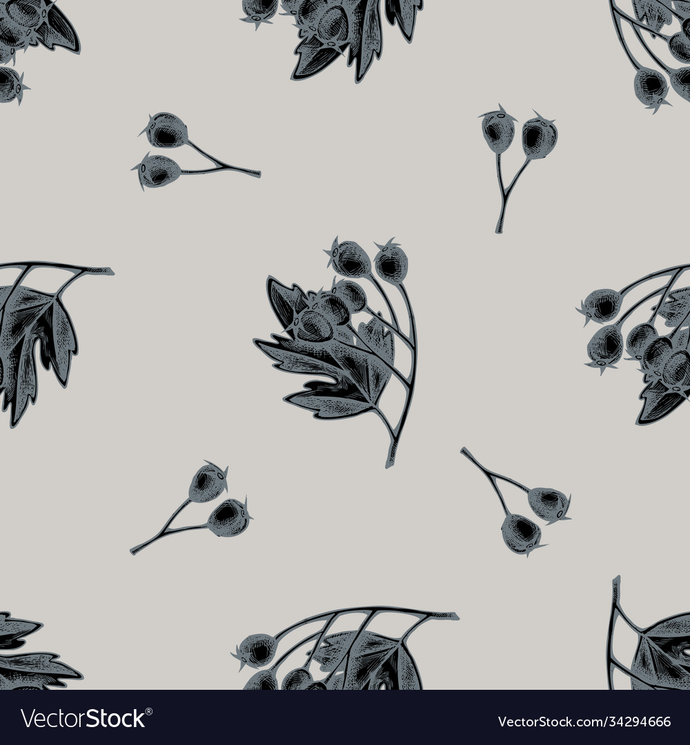 Seamless pattern with hand drawn stylized hawthorn