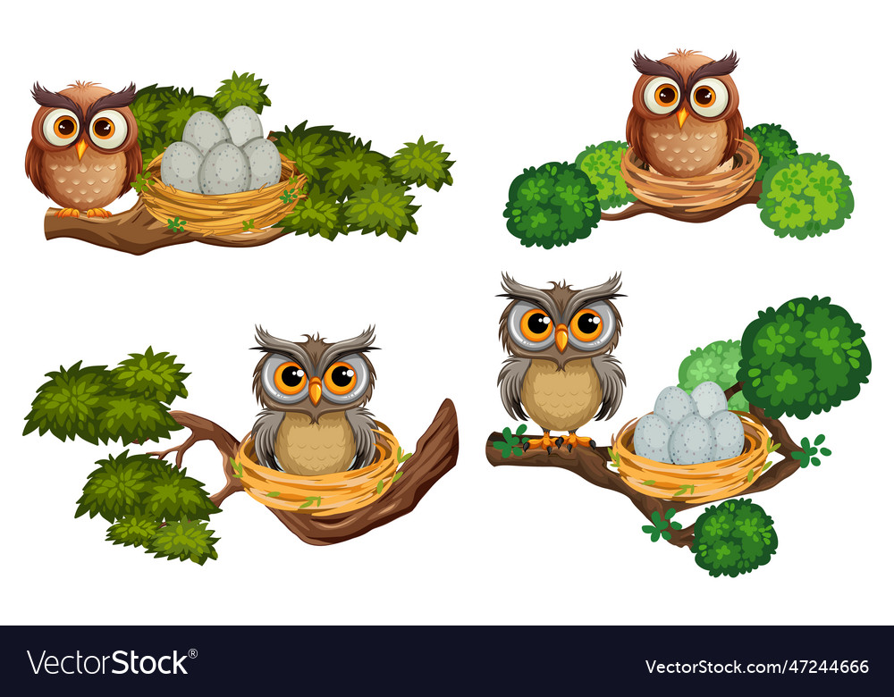 Set of cute owl cartoon Royalty Free Vector Image