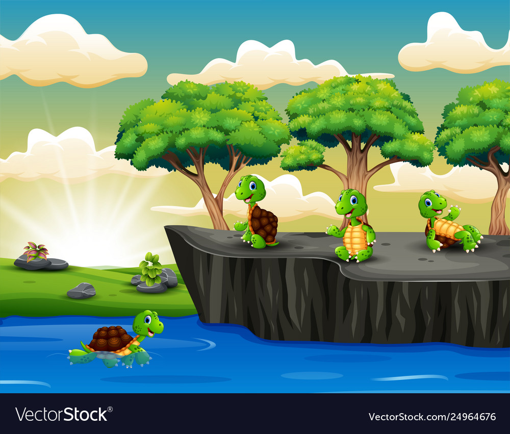 Group turtle playing on cliff Royalty Free Vector Image