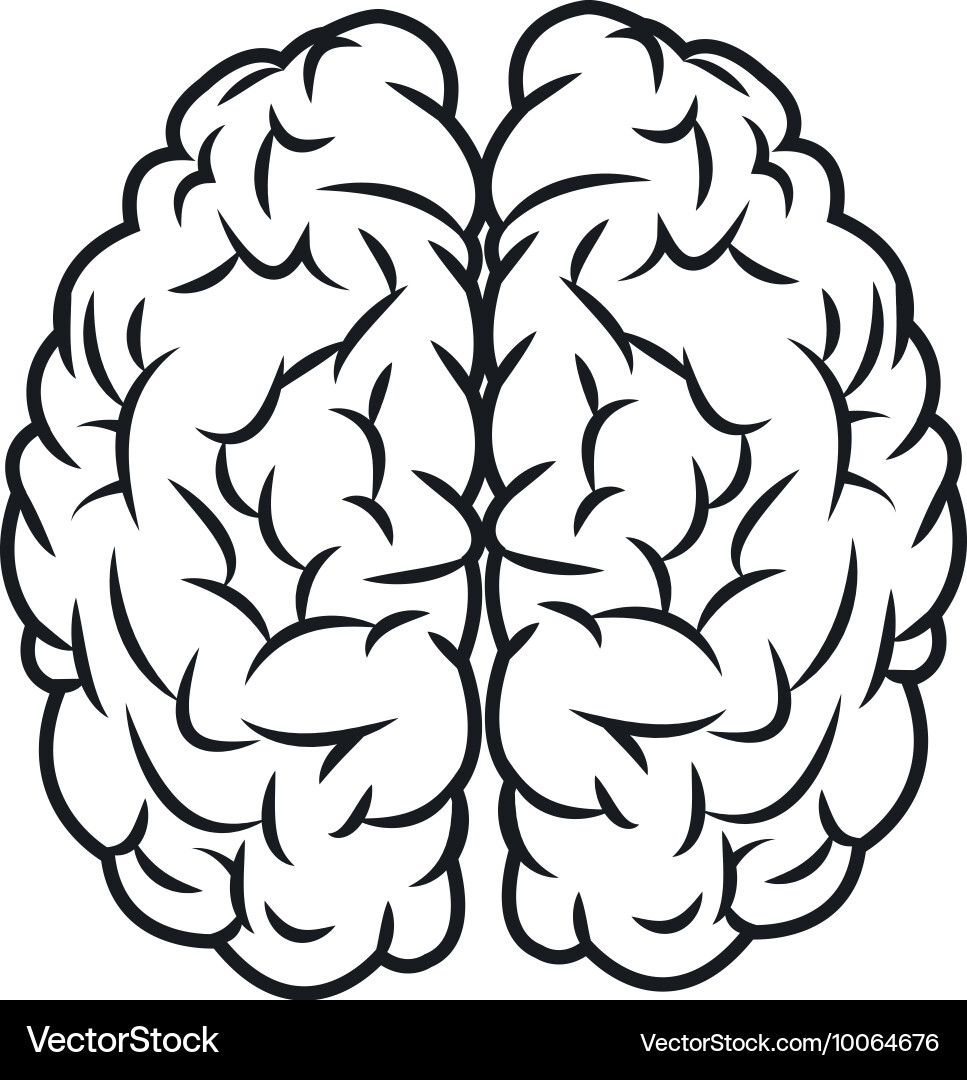 Human brain icon Royalty Free Vector Image - VectorStock