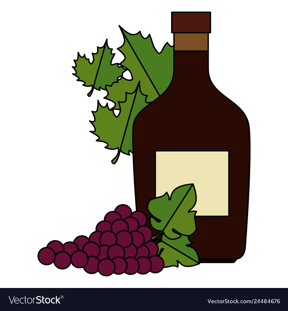 Wine bottle and grapes cluster and leafs Vector Image