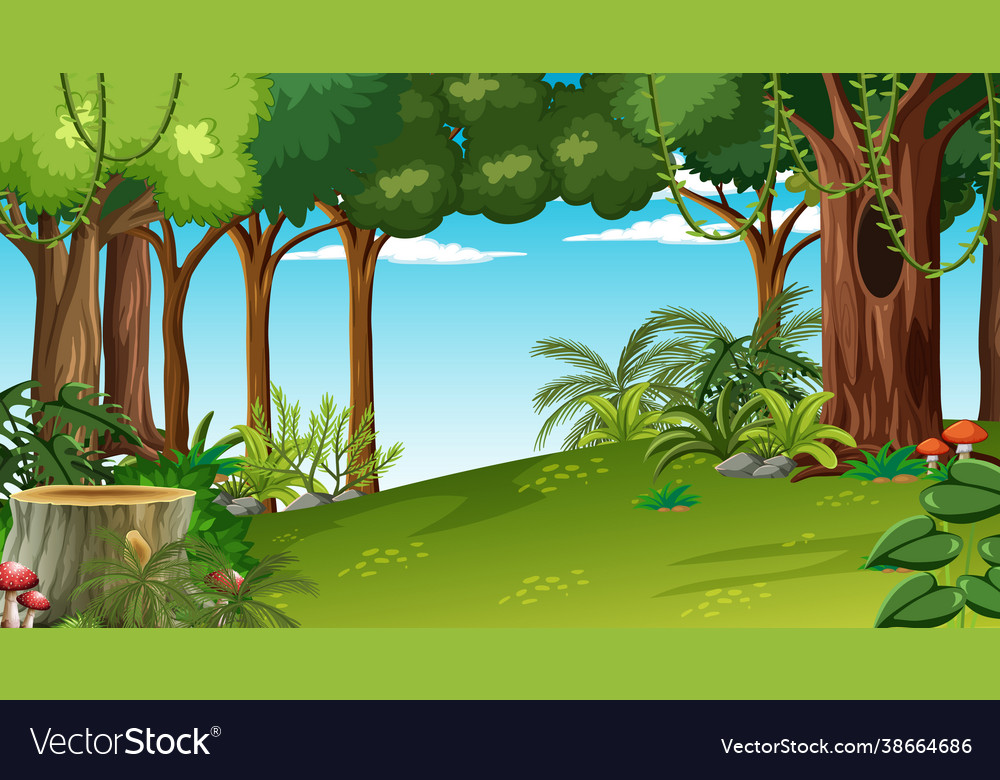 Forest at daytime scene with various plant Vector Image