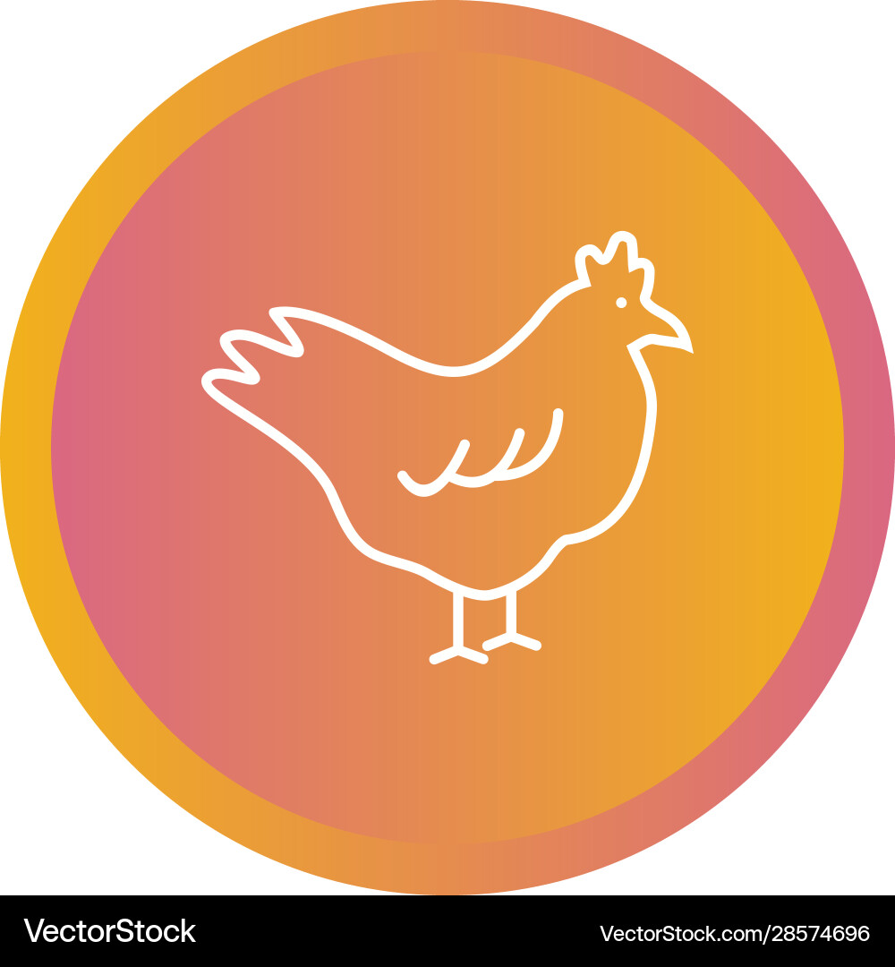 Beautiful chicken line icon Royalty Free Vector Image