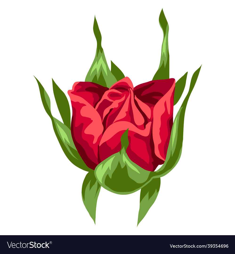 Realistische Rose Bud