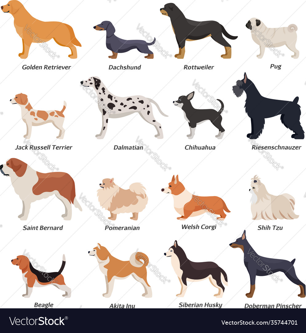 Profile dogs icon set Royalty Free Vector Image