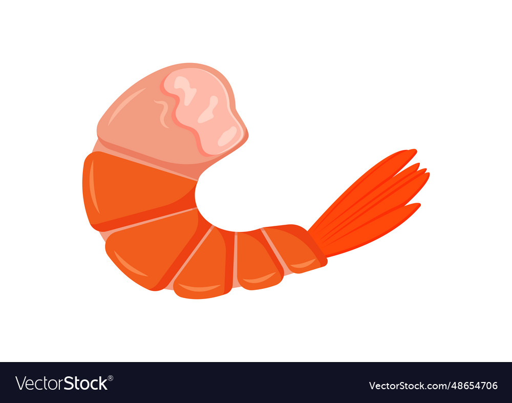 Cooked shrimp tail isolated on white background