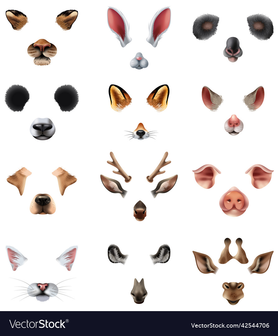 Cute animal masks video chat application effect Vector Image